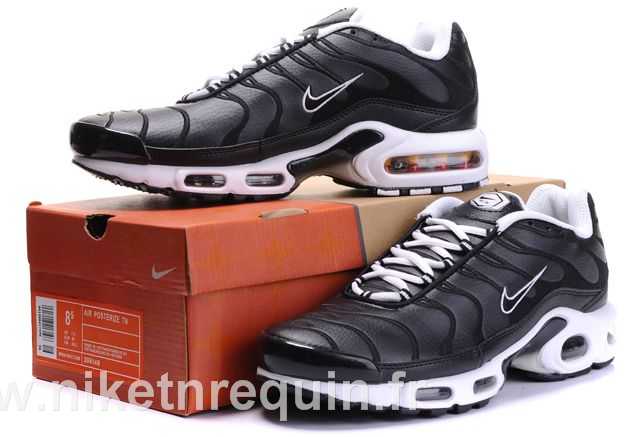 nike tn 2010
