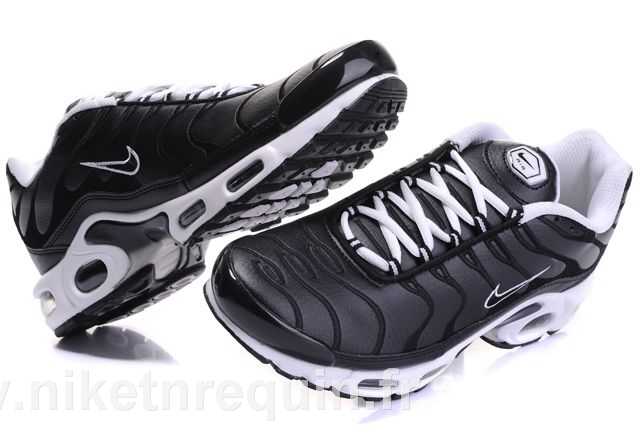 nike tn 2010